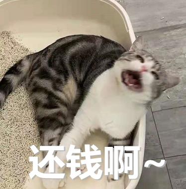 DƬ